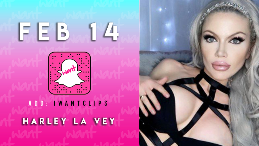FEB14-HARVEYLAVEY