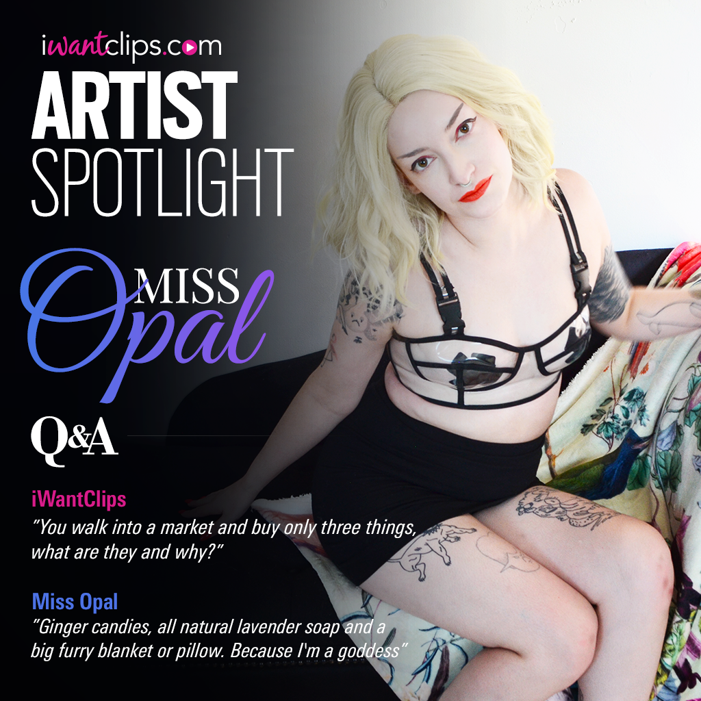 q&a-1024x1024.png