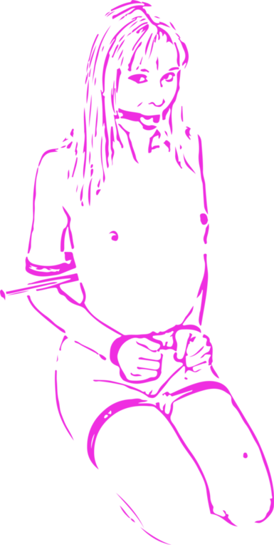 the waitress BDSM sex position