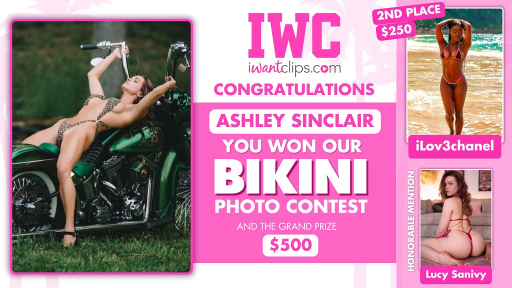 Bikini Contest - Artist Winners